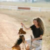 Dog Learning to sit