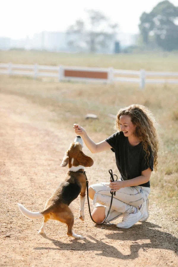 Dog Learning to sit