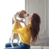 Reward for happy Dog