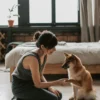 Dog giving paw