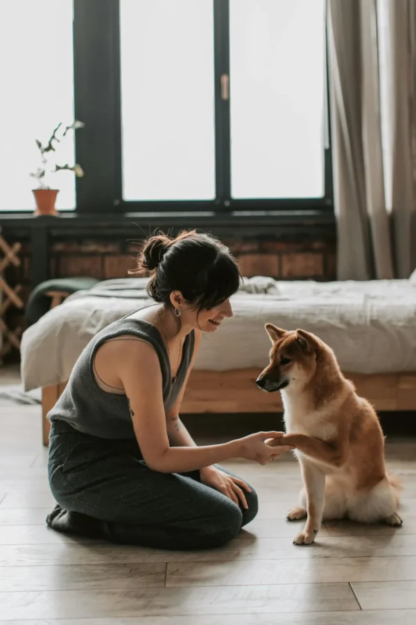 Dog giving paw