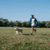 Dog running on leash
