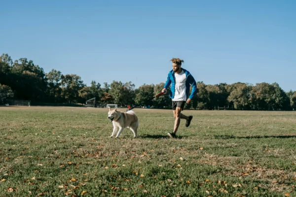 Dog running on leash